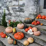 Chambres D'hotes Chateau De La Motte Bed & Breakfast Usseau (Vienne)