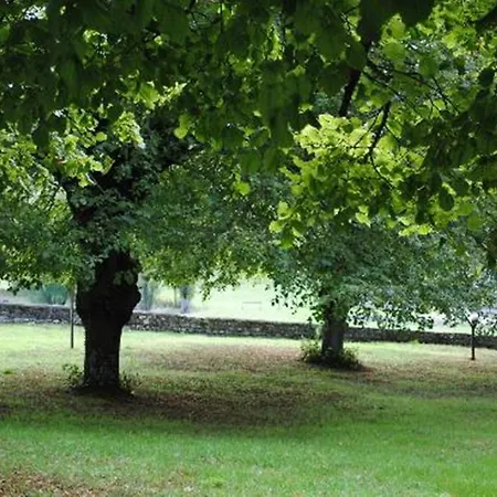 Chambres D'hotes Chateau De La Motte Frühstückspension Usseau (Vienne)