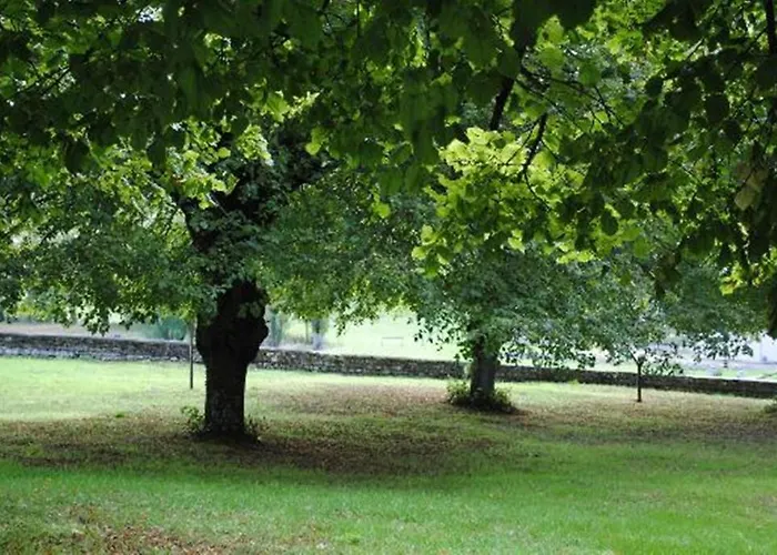 Chambres D'hotes Chateau De La Motte Bed & Breakfast Usseau (Vienne)