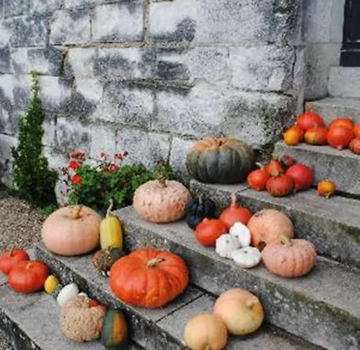 Chambres D'hotes Chateau De La Motte Bed & Breakfast Usseau (Vienne)