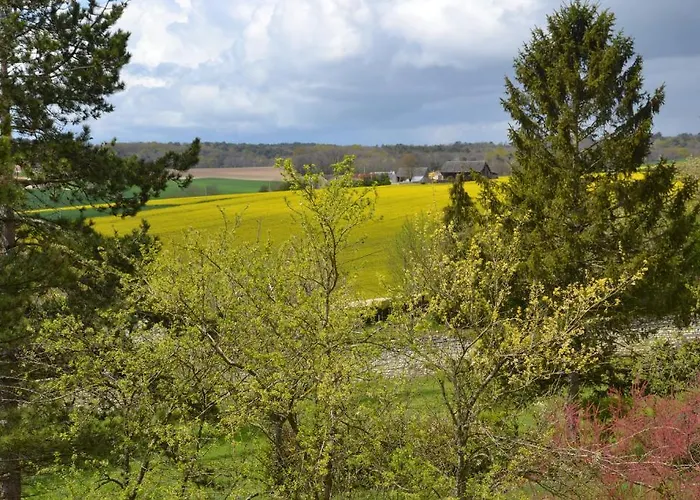 Chambres D'hotes Chateau De La Motte Bed & Breakfast Usseau (Vienne)